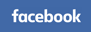word mark logo example facebook